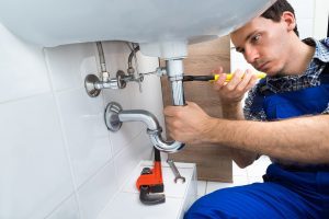 Picture of a professional plumber